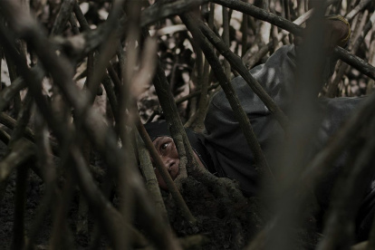 Esta es la imagen ganadora. La que ahora está expuesta en Roma, Italia.