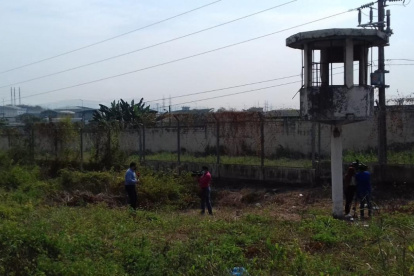 PPL escapo en la madrugada del CDP de la Penitenciaría del Litoral escalando una planta de plátano y paredes.