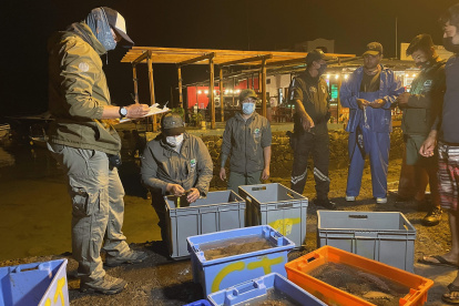 Fotografía cedida este miércoles por Parque Galágapos que muestra a varios hombres mientras realizan un control de pesca del pepino de mar en la Isla de Santa Cruz.
