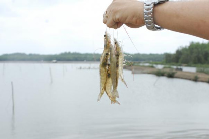 Ecuador es un proveedor importante de China
