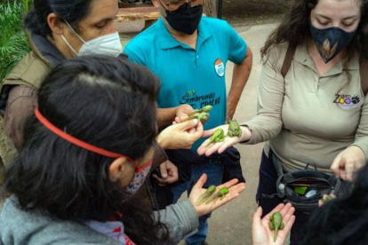 Anfibios. La rana marsupial es el atractivo principal de la exposición.