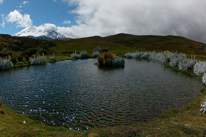 Captación. Las zonas de conservación hídrica en su mayoría están dentro de áreas protegidas como el Parque Antisana.