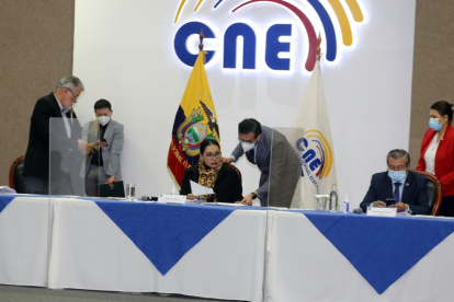 Pleno. El Consejo Nacional Electoral.