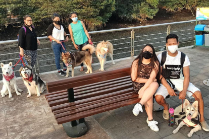 Los miembros del club realizan eventos de integración y también de apoyo a las causas animalistas.