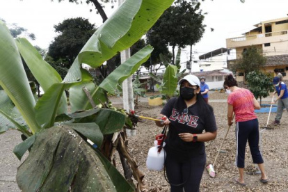 Daniela Inga, egresada de Agronomía, ayuda a salvar un árbol de la plaga la cochinilla en el parque del 8, en la tercera etapa de la Alborada.