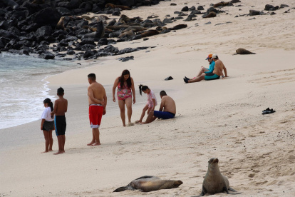 Dos lobos marinos y un grupo de personas disfrutan de la playa Mann, el 20 de agosto de 2021, en la isla San Cristóbal, Archipiélago Galápagos (Ecuador).