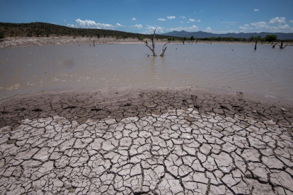 Vista general de las afectaciones por la sequía, el 16 de junio de 2021, en la comunidad de Rincón Colorado, en el municipio de General Cepeda, en Coahuila (México).