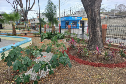 Hecho. Las actividades fueron desarrolladas en conjunto con la comunidad.