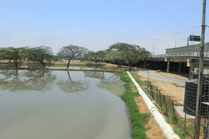 Los malos olores. Se han llegado a percibir a lo largo del puente que une a La Puntilla con Guayaquil.