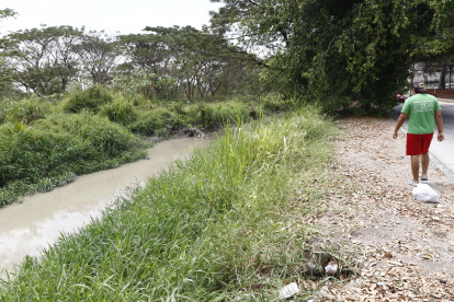 La zanja que divide a las ciudadelas Guayacanes y Samanes es un botadero de desechos que emana malos olores y se ha convertido en un sitio donde se producen accidentes de tránsito.