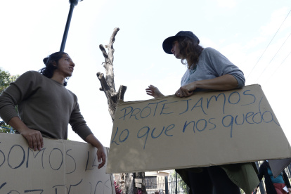 Miraflores. Así quedó el árbol tras la acción ejecutada la noche del domingo.