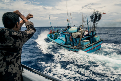 Investigadores piden a los gobiernos que "reserven" las costas del mundo.