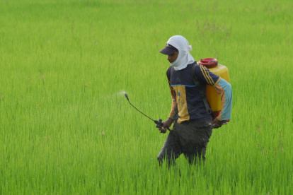 Los insecticidas también suben de precio.