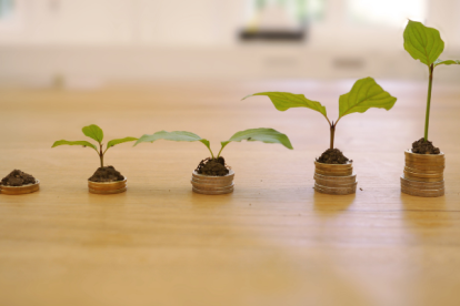 Referencial, créditos.