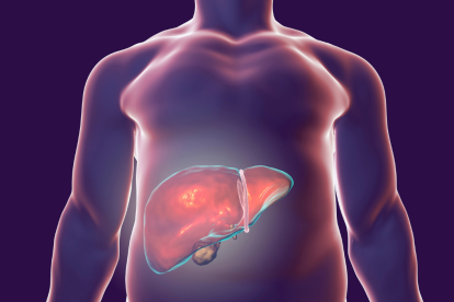 El estudio sugiere que el hígado puede desempeñar un papel en el inicio o la progresión de la enfermedad.