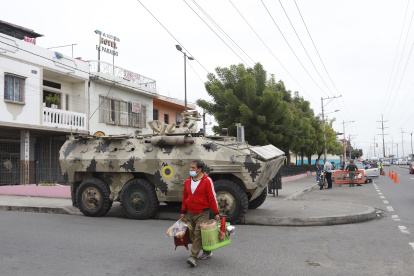 Provistos de tanquetas, elementos de las Fuerzas Armadas desarrollaron el operativo en la Isla Trinitaria.