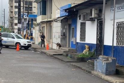 Evidencias. Miembros de Criminalística de la Policía y agentes de la Fiscalía recogieron indicios del hecho.