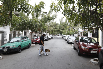 BARRIO ORELLANA CALLE LUIS VERNAZA CON ARBOLES/JIMMY NEGRETE/GUAYAQUIL-ECUADOR