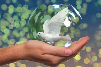 Día internacional de la paz.