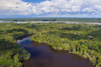 Parque Nacional Yasuní.