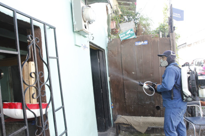 Parte de las estrategias del MSP está la fumigación en los exteriores e interiores de los domicilios.