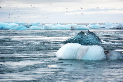 El cambio climático podría ser la causa enfermedades a futuro