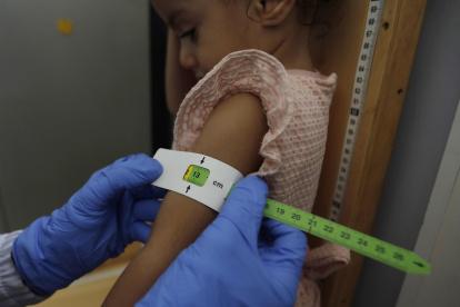 El Ministerio de Salud ecuatoriano interviene ofreciendo apoyo técnico a esa estrategia considerada una de las piezas claves del Gobierno para erradicar la desnutrición crónica infantil en el país.