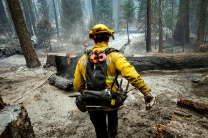 Los grandes incendios forestales en varias regiones del mundo han provocado un cambio en el clima, lo que afecta la salud humana. ETIENNE LAURENT / EFE