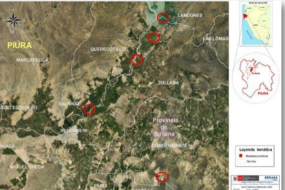 Estas son las zonas afectadas.