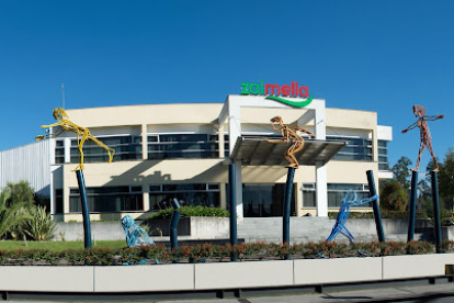 Zaimella es una compañía que factura casi 100 millones de dólares.