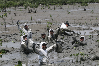 REFORESTACION DE MANGLAR EN LA ISLA PUNA PERIODISTA : JUAN DANIEL PONCE FECHA : 27/09/2021 Agencia (ag-extra)