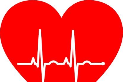 Hoy se celebra en todo el mundo el día de este órgano