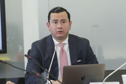 El asambleísta de UNES, Ferdinan Álvarez, extendió el pedido al contralor Carlos Riofrío.