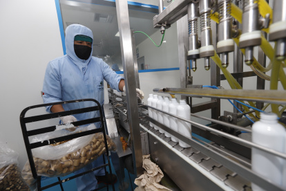 Baja producción. Falta de materias primas.  Molerpa S.A. Cdla Santa Adriana Manz 7A 2 7A, 29 DE SEPTIEMBRE  DEL 2021 AMELIA ANDRADE Guayaquil-Ecuador Agencia (ag-expreso)