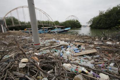 Arrastre. Los desperdicios se apilan a un costado del muelle de la comuna Bellavista; cuya playa, que está cruzando un puente corroído, está también llena de basura.  y donde las 2 y 3. Hecho. Las acémilas aprovechan la desolación para buscar comida en medio de los desperdicios que se recogen y que también son apilados en la playa, donde se evidencia el abandono y olvido al turismo de esa parte de la Isla.