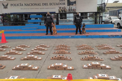 Los 950 paquetes rectangulares hallados en uno de los containers que esperaban ser llevados a Eutopa.