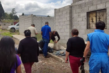 Procedimiento. El Personal de la Unidad de Bienestar Animal hace el levantamiento de los cadáveres caninos.