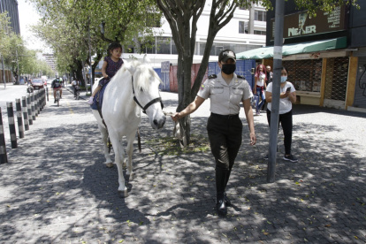 Equinos. Los niños podrán subirse a los caballos de la policía montada.