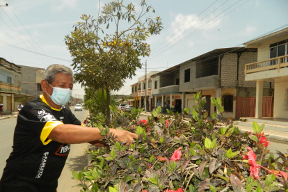 Avenida Sixto Chang. Esas son algunas de las especies que Jorge De la A, en la imagen, ha sembrado en su calle. Antes en ellas no había nada verde.