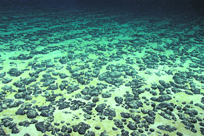 Una vista de los nódulos polimetálicos que se agrupan en el fondo del mar. Son apetecidos por su concentración de varios minerales.