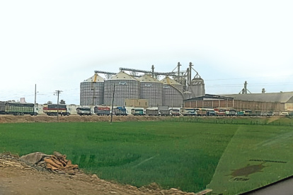 Pese a la crítica situación del sector, los productores del cantón Daule continúan sembrando. Pero en piladoras de Babahoyo los carros cargados no pueden desembarcar.