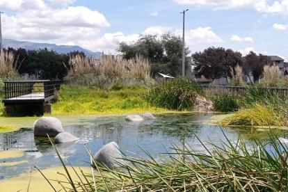 Verdor. El parque cuenta con un humedal que alberga a varios animales.
