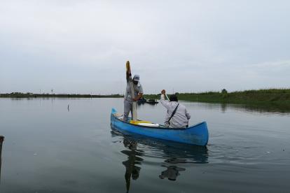 Este sector se ha recuperado luego de la pandemia.