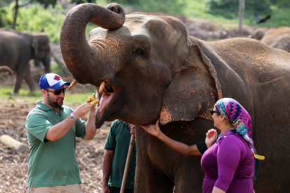 Turistas alimentan a elefantes en un hogar para paquidermos huérfanos en Sri Lanka.