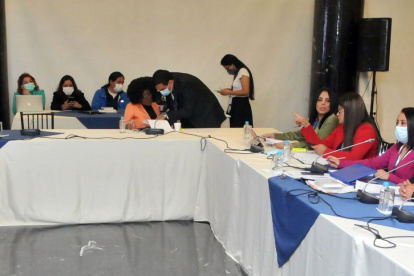 Expectativa. El Salón de los Presidentes, reservado para los actos oficiales de la Asamblea, fue destinado el miércoles para la sesión de la Comisión.