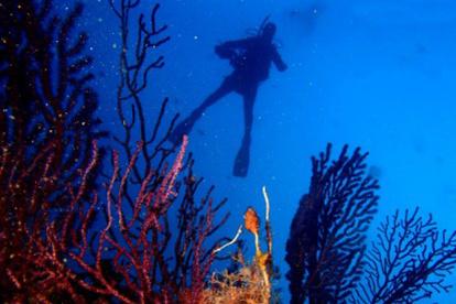Acción. Los subsuelos y los recursos marinos constituyen un patrimonio.