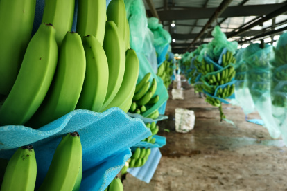 Ecuador los precios son menores al año 2020.