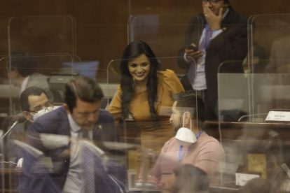 Yeseña Guamaní es la nueva segunda vicepresidenta de la Asamblea Nacional.