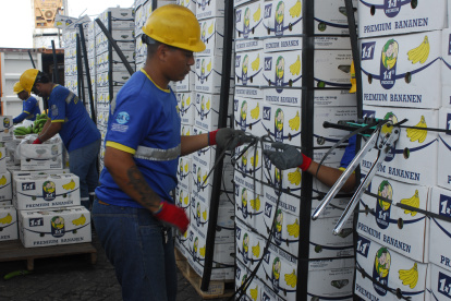 El Índice identifica las barreras que afecta al 95 % del PIB mundial.