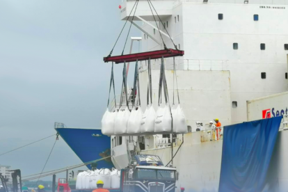 El embarque del mineral a China aumentó este año.